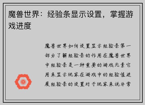 魔兽世界：经验条显示设置，掌握游戏进度
